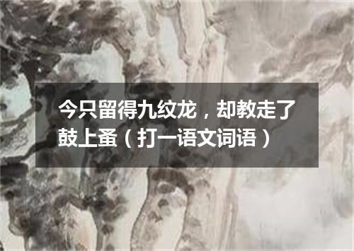 今只留得九纹龙，却教走了鼓上蚤（打一语文词语）