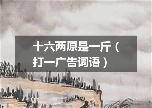 十六两原是一斤（打一广告词语）