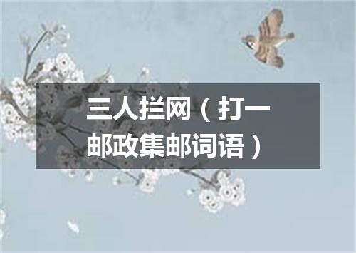 三人拦网（打一邮政集邮词语）