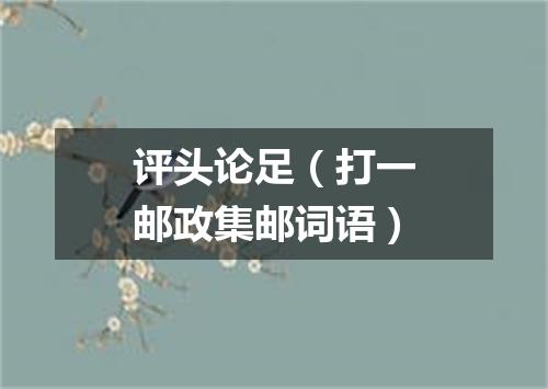 评头论足（打一邮政集邮词语）