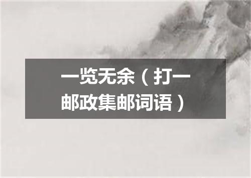 一览无余（打一邮政集邮词语）