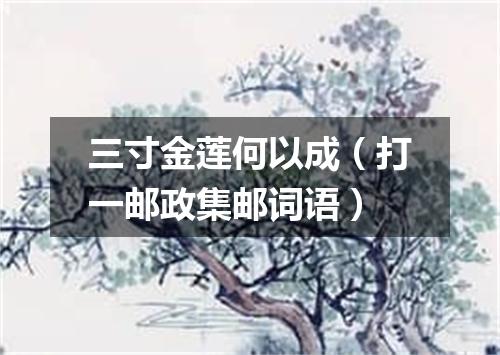 三寸金莲何以成（打一邮政集邮词语）