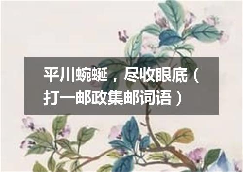 平川蜿蜒，尽收眼底（打一邮政集邮词语）