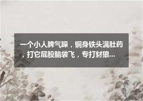 一个小人脾气躁，铜身铁头满肚药，打它屁股脑袋飞，专打豺狼狗强盗。（打一军事物品）