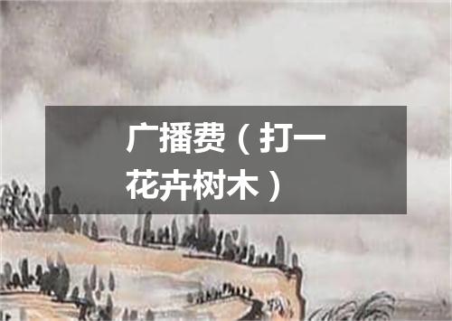 广播费（打一花卉树木）