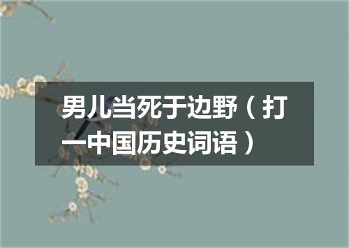 男儿当死于边野（打一中国历史词语）