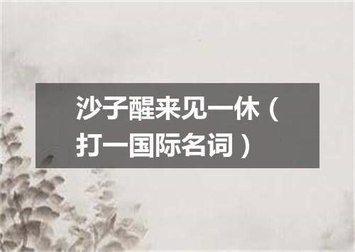 沙子醒来见一休（打一国际名词）