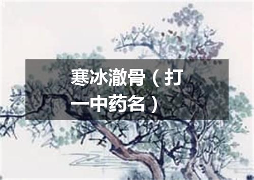 寒冰澈骨（打一中药名）