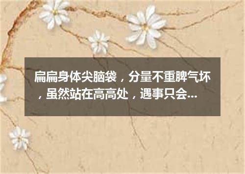 扁扁身体尖脑袋，分量不重脾气坏，虽然站在高高处，遇事只会随风摆。（打一气象用具）