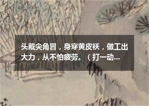 头戴尖角冒，身穿黄皮袄，做工出大力，从不怕疲劳。（打一动物）
