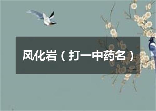 风化岩（打一中药名）