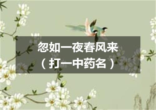 忽如一夜春风来（打一中药名）