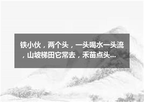 铁小伙，两个头，一头喝水一头流，山坡梯田它常去，禾苗点头乐悠悠。（打一农机用具）
