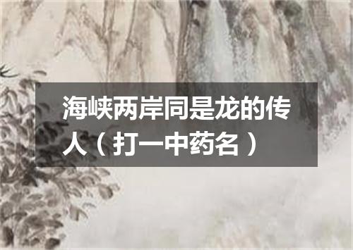 海峡两岸同是龙的传人（打一中药名）