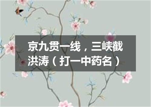 京九贯一线，三峡截洪涛（打一中药名）