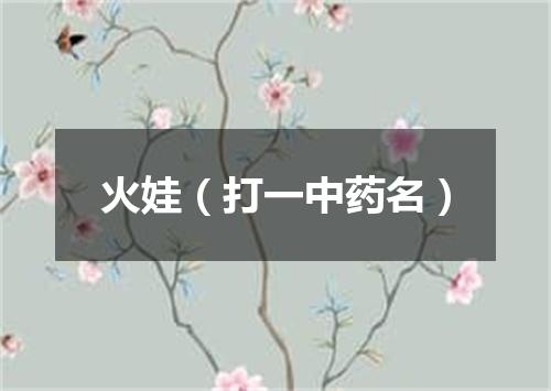 火娃（打一中药名）