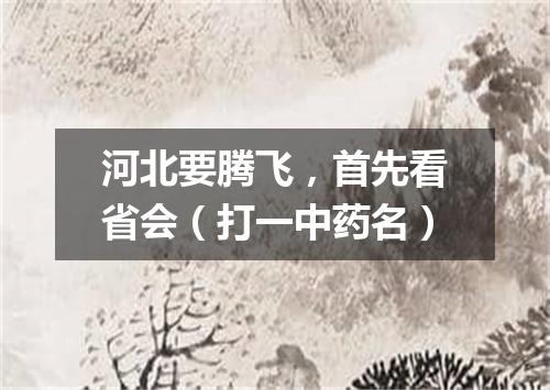 河北要腾飞，首先看省会（打一中药名）