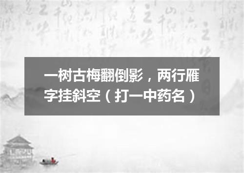 一树古梅翻倒影，两行雁字挂斜空（打一中药名）