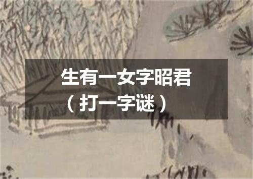 生有一女字昭君（打一字谜）