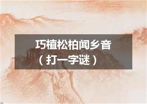 巧植松柏闻乡音（打一字谜）