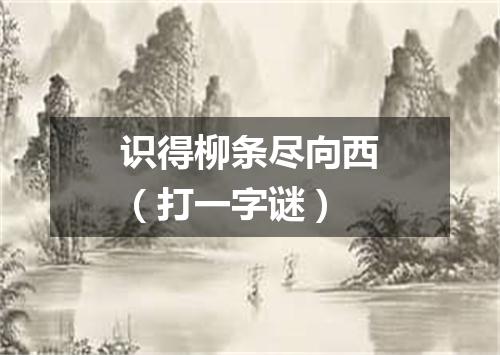 识得柳条尽向西（打一字谜）