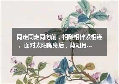 同走同走同向前，相随相伴紧相连， 面对太阳随身后，背朝月亮站身前。（打一自然现象）