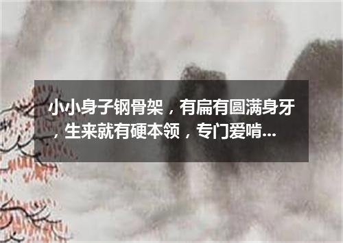 小小身子钢骨架，有扁有圆满身牙，生来就有硬本领，专门爱啃硬疙瘩。（打一常用物）