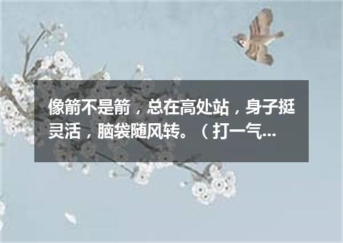 像箭不是箭，总在高处站，身子挺灵活，脑袋随风转。（打一气象用具）
