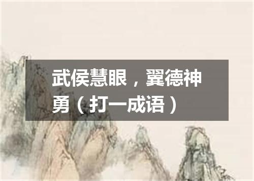 武侯慧眼，翼德神勇（打一成语）