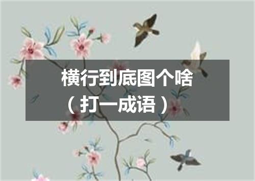 横行到底图个啥（打一成语）
