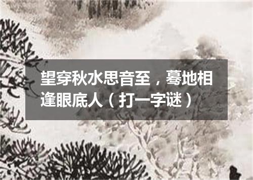 望穿秋水思音至，蓦地相逢眼底人（打一字谜）