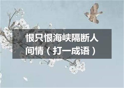 恨只恨海峡隔断人间情（打一成语）