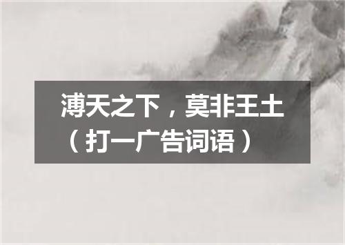 溥天之下，莫非王土（打一广告词语）