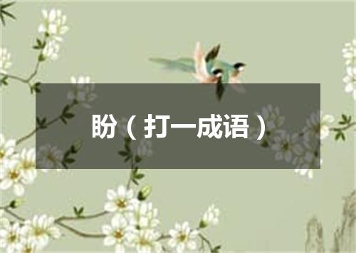 盼（打一成语）
