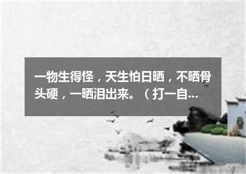 一物生得怪，天生怕日晒，不晒骨头硬，一晒泪出来。（打一自然现象）