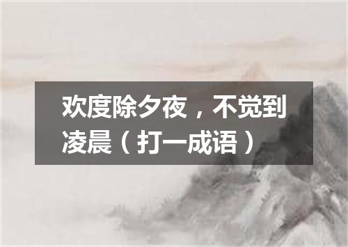 欢度除夕夜，不觉到凌晨（打一成语）