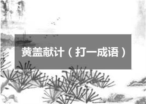 黄盖献计（打一成语）