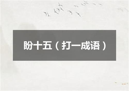 盼十五（打一成语）