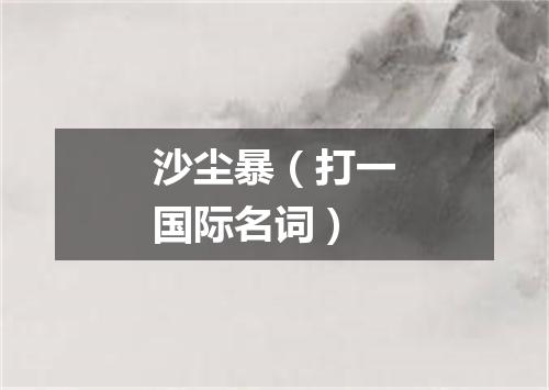 沙尘暴（打一国际名词）