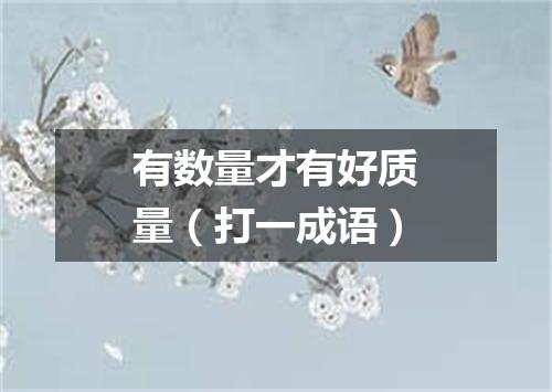 有数量才有好质量（打一成语）