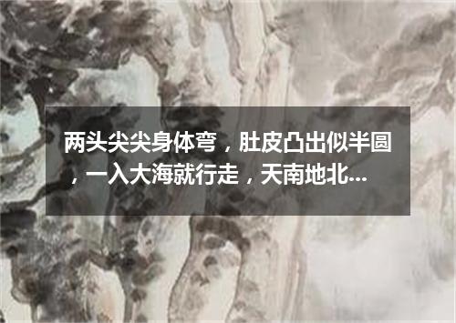 两头尖尖身体弯，肚皮凸出似半圆，一入大海就行走，天南地北游个遍。（打一交通工具）