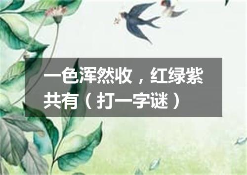 一色浑然收，红绿紫共有（打一字谜）