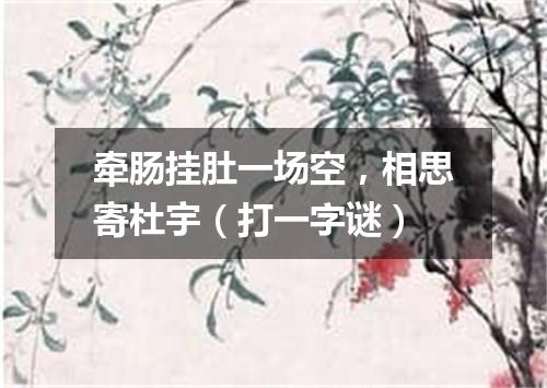 牵肠挂肚一场空，相思寄杜宇（打一字谜）