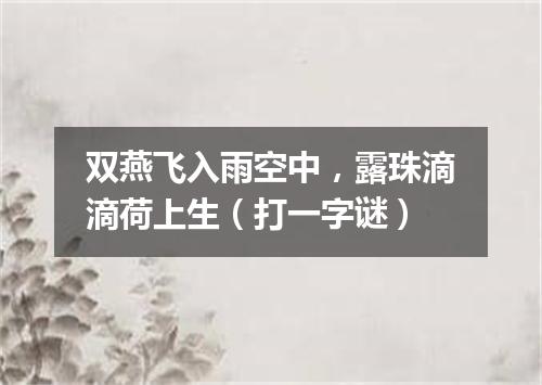 双燕飞入雨空中，露珠滴滴荷上生（打一字谜）