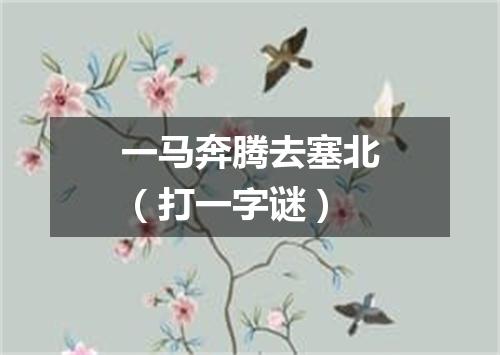 一马奔腾去塞北（打一字谜）