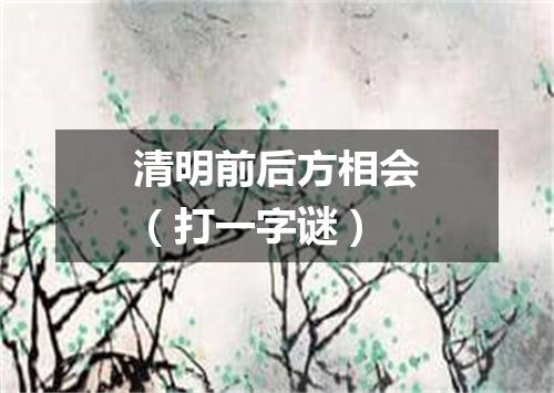 清明前后方相会（打一字谜）