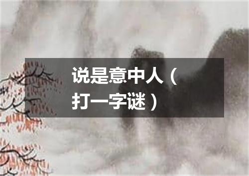 说是意中人（打一字谜）