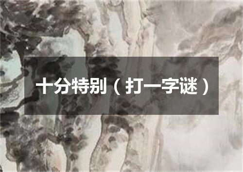 十分特别（打一字谜）