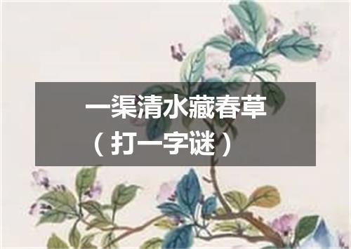 一渠清水藏春草（打一字谜）
