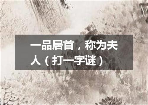 一品居首，称为夫人（打一字谜）